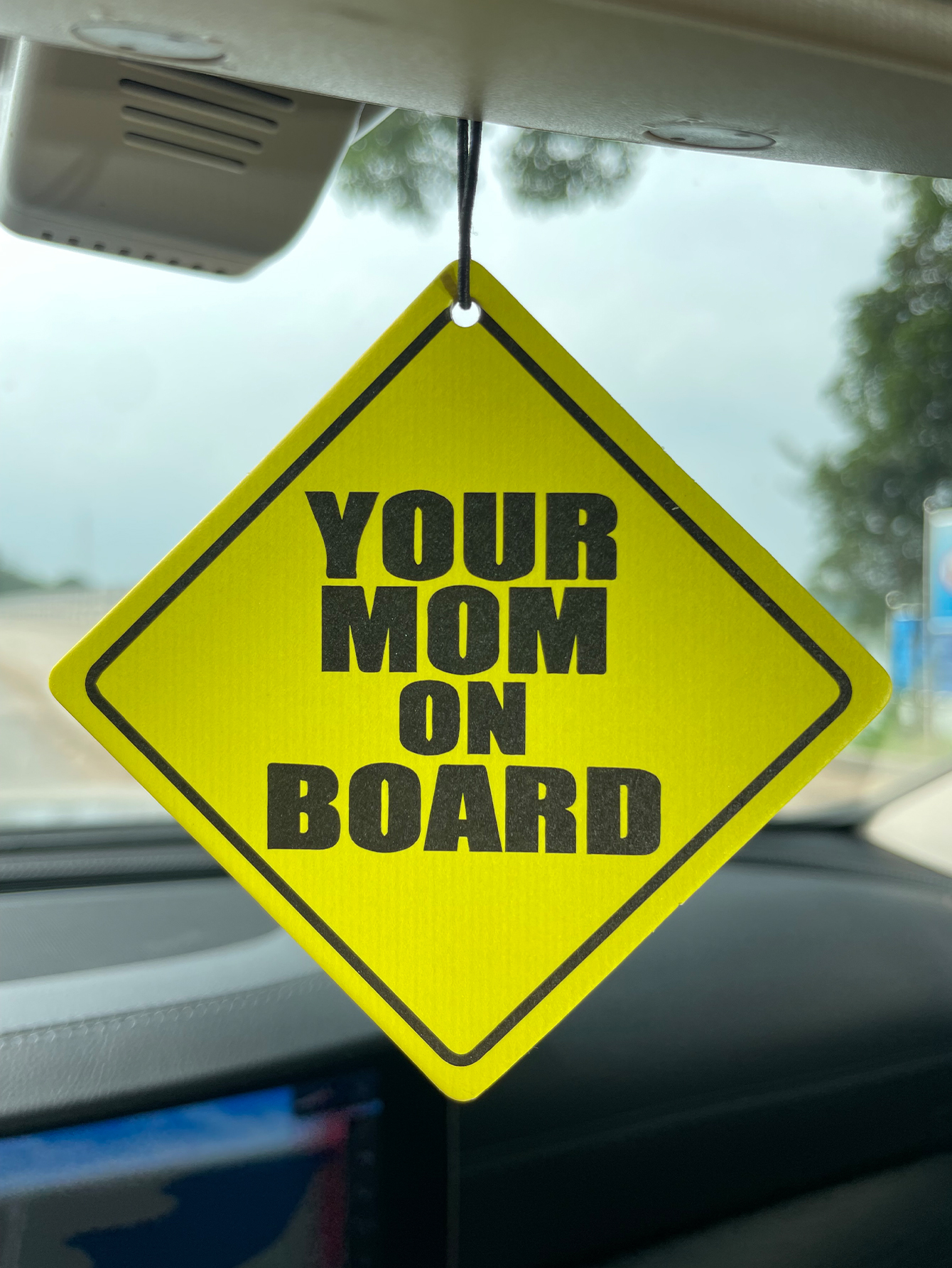 Home Fragrance Types - Your Mom on Boar/Hilton Fresh Scent