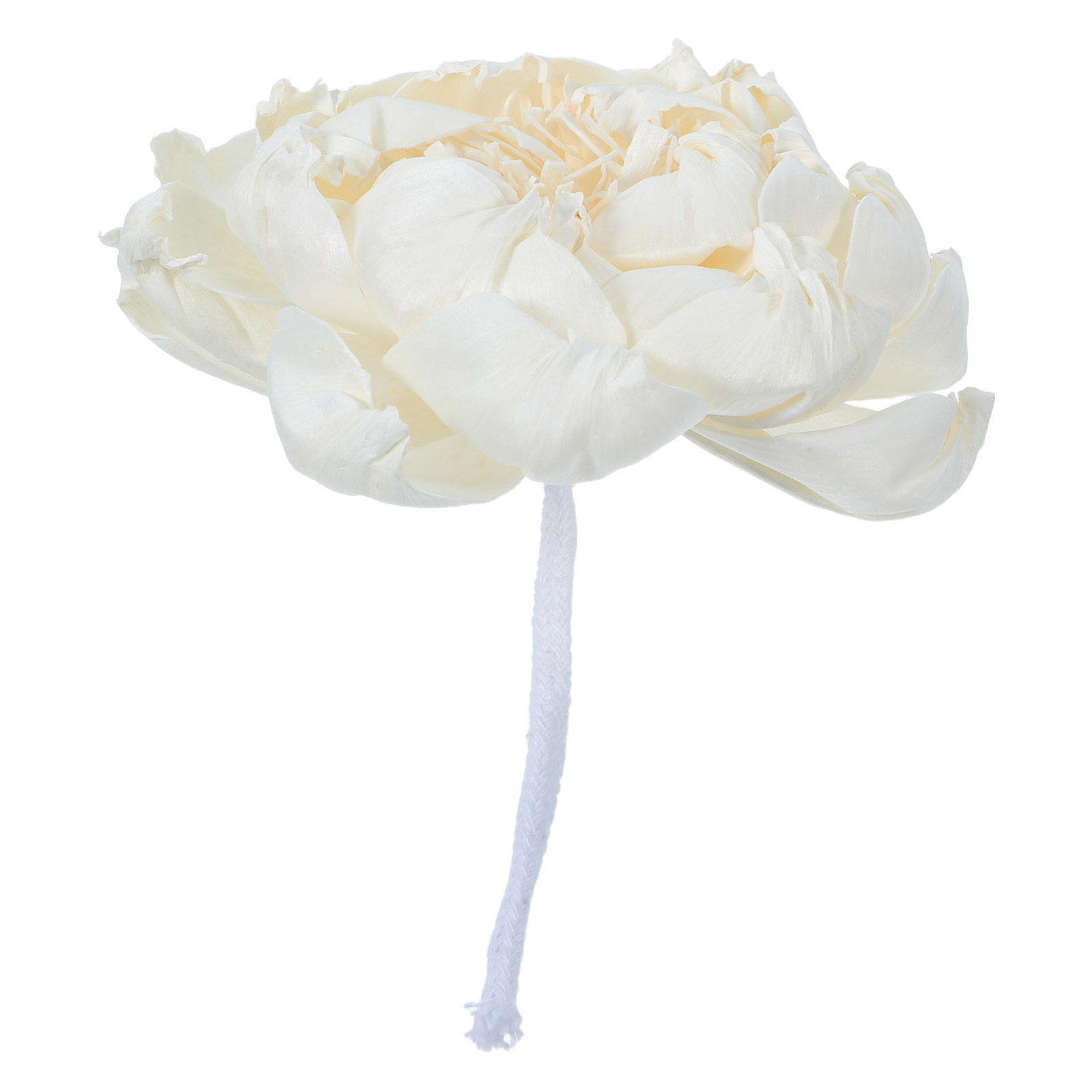 Peony Head Fragrance Diffuser  - Home Fragrance With Essential Oils ulasan dan harga