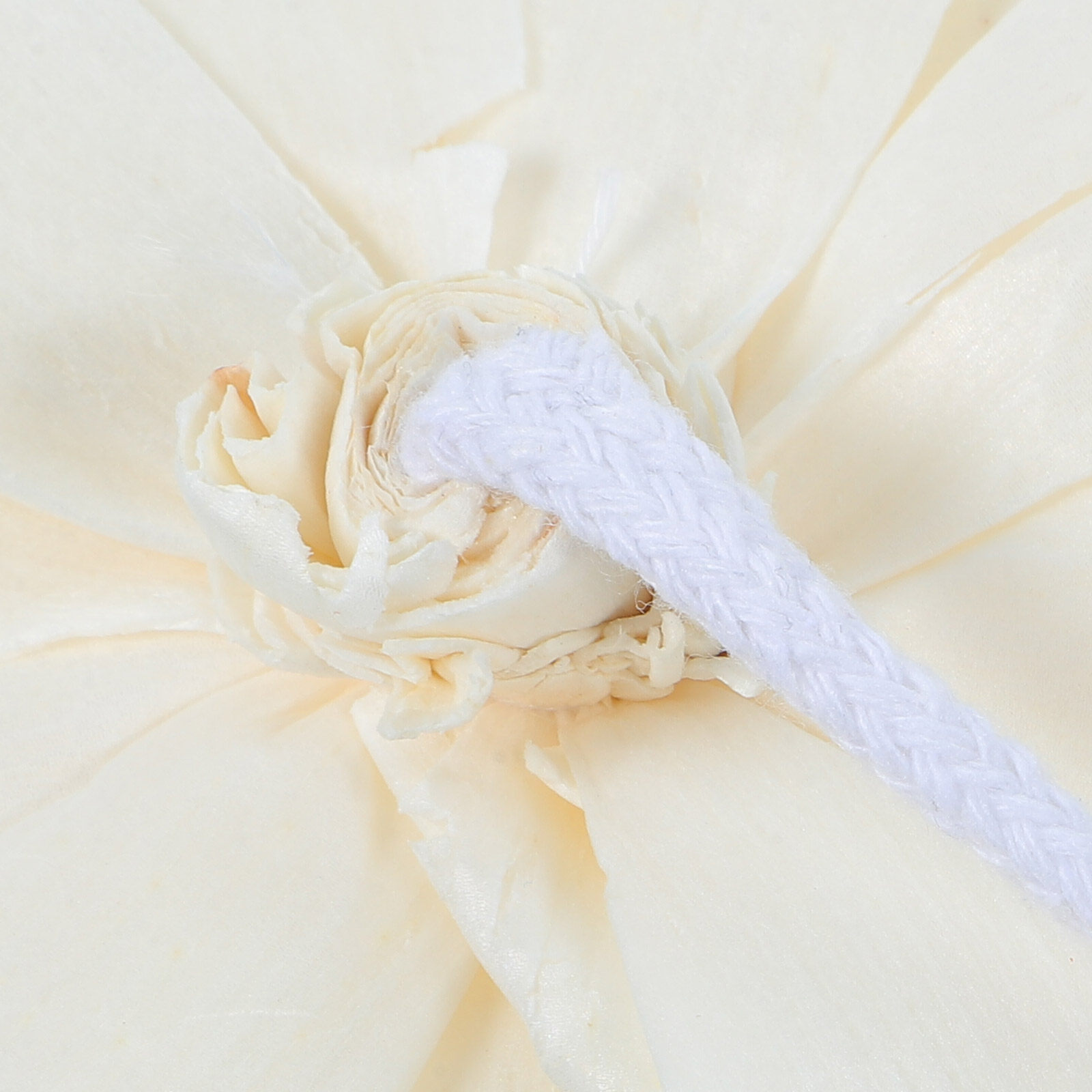 Peony Head Fragrance Diffuser  - Home Fragrance With Essential Oils ulasan dan harga